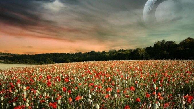 如何看待时下被部分网民力推的“双输好过单输”观念？